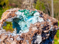 Natural Drusy Coated Chrysocolla with Malachite Specimen x 1 From Congo