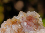Natural Limonite Coated Fairy Spirit Quartz Clusters x 12 From Boekenhouthoek, South Africa - Toprock Gemstones and Minerals 