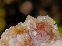 Natural Limonite Coated Fairy Spirit Quartz Clusters x 12 From Boekenhouthoek, South Africa