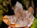 Natural Limonite Coated Fairy Spirit Quartz Clusters x 12 From Boekenhouthoek, South Africa - Toprock Gemstones and Minerals 