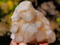 Natural Limonite Coated Fairy Spirit Quartz Clusters x 12 From Boekenhouthoek, South Africa