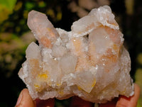Natural Limonite Coated Fairy Spirit Quartz Clusters x 12 From Boekenhouthoek, South Africa