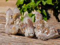 Natural Limonite Coated Fairy Spirit Quartz Clusters x 12 From Boekenhouthoek, South Africa