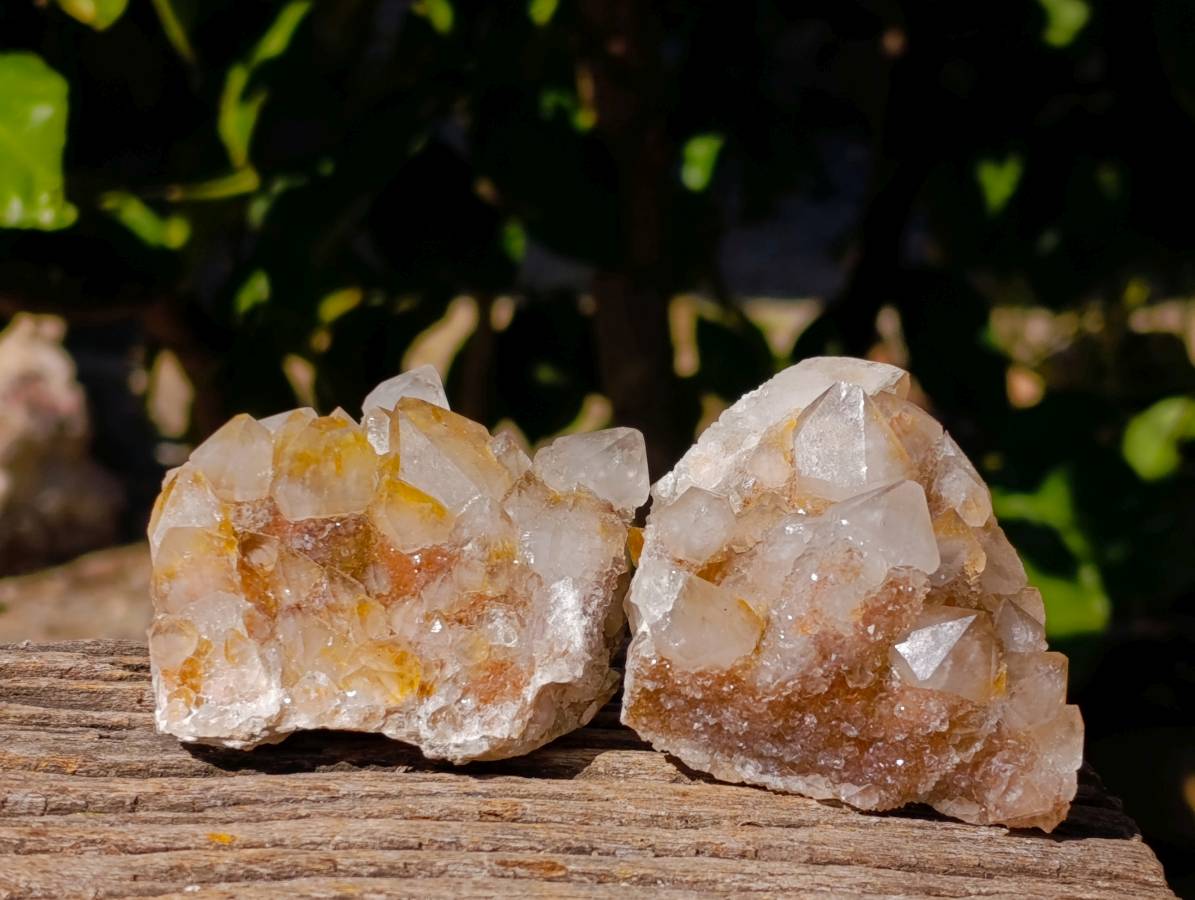 Natural Limonite Coated Fairy Spirit Quartz Clusters x 12 From Boekenhouthoek, South Africa - Toprock Gemstones and Minerals 