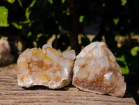 Natural Limonite Coated Fairy Spirit Quartz Clusters x 12 From Boekenhouthoek, South Africa