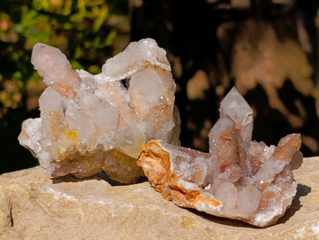 Natural Limonite Coated Fairy Spirit Quartz Clusters x 12 From Boekenhouthoek, South Africa - Toprock Gemstones and Minerals 