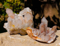 Natural Limonite Coated Fairy Spirit Quartz Clusters x 12 From Boekenhouthoek, South Africa