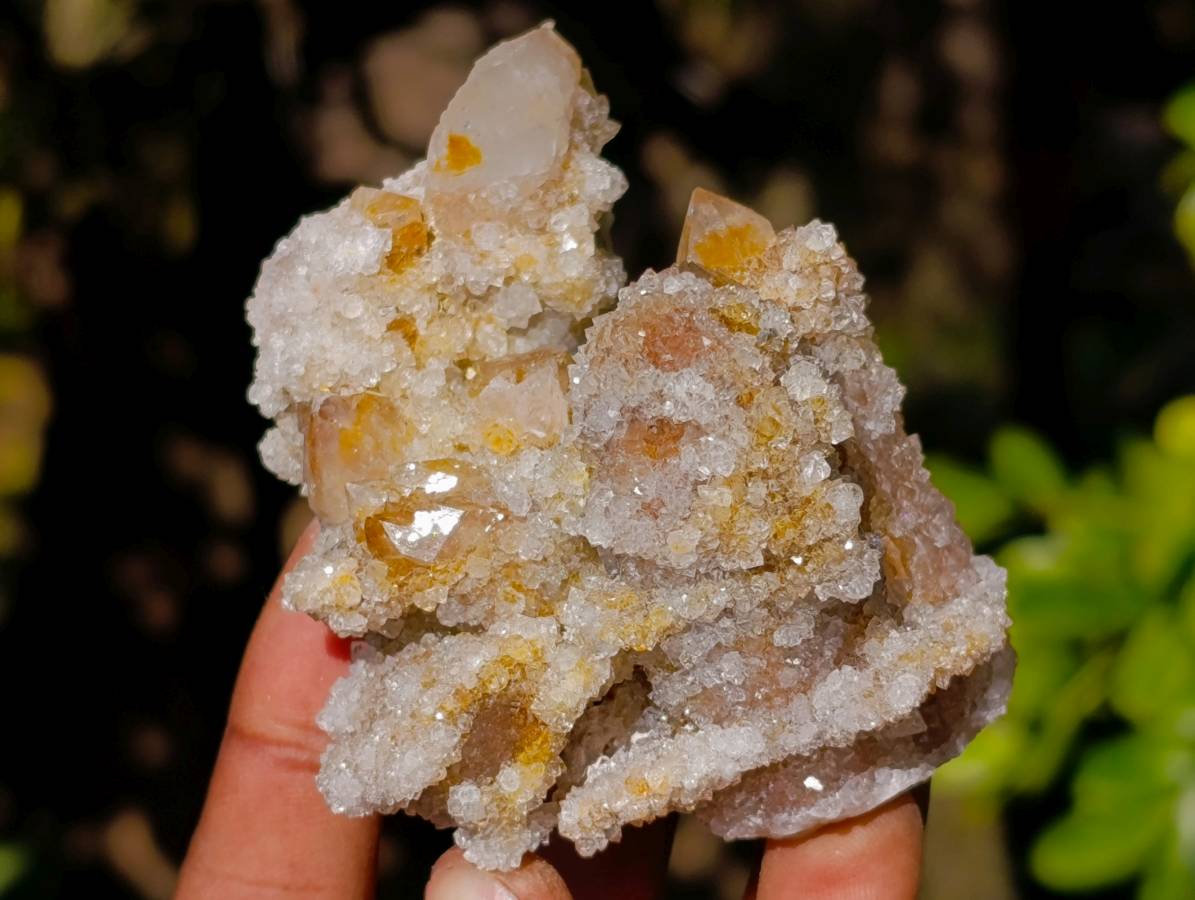 Natural Limonite Coated Fairy Spirit Quartz Clusters x 12 From Boekenhouthoek, South Africa - Toprock Gemstones and Minerals 