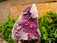Natural Drusy Salrose on Dolomite Matrix Specimens x 6 From Kakanda, Congo