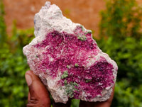 Natural Drusy Salrose on Dolomite Matrix Specimens x 6 From Kakanda, Congo