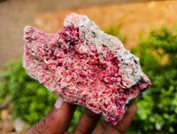 Natural Drusy Salrose on Dolomite Matrix Specimens x 6 From Kakanda, Congo