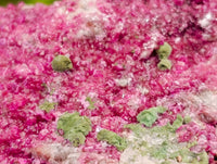 Natural Drusy Salrose on Dolomite Matrix Specimens x 6 From Kakanda, Congo