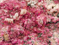 Natural Drusy Salrose on Dolomite Matrix Specimens x 6 From Kakanda, Congo