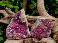 Natural Drusy Salrose on Dolomite Matrix Specimens x 6 From Kakanda, Congo