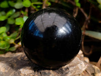 Polished Black Basalt Spheres x 2 From Madagascar