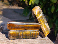 Polished On One Side Tiger's Eye x 24 From Prieska, South Africa