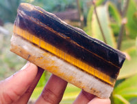 Polished On One Side Tiger's Eye x 24 From Prieska, South Africa