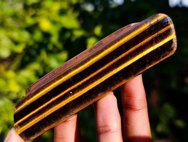 Polished On One Side Tiger's Eye x 24 From Prieska, South Africa