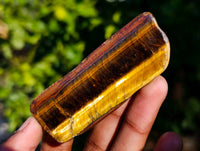 Polished On One Side Tiger's Eye x 24 From Prieska, South Africa
