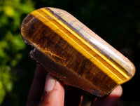 Polished On One Side Tiger's Eye x 24 From Prieska, South Africa
