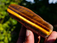 Polished On One Side Tiger's Eye x 24 From Prieska, South Africa