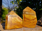 Polished Picture Stone Jasper Points x 2 From Ais-Ais, Namibia - Toprock Gemstones and Minerals 