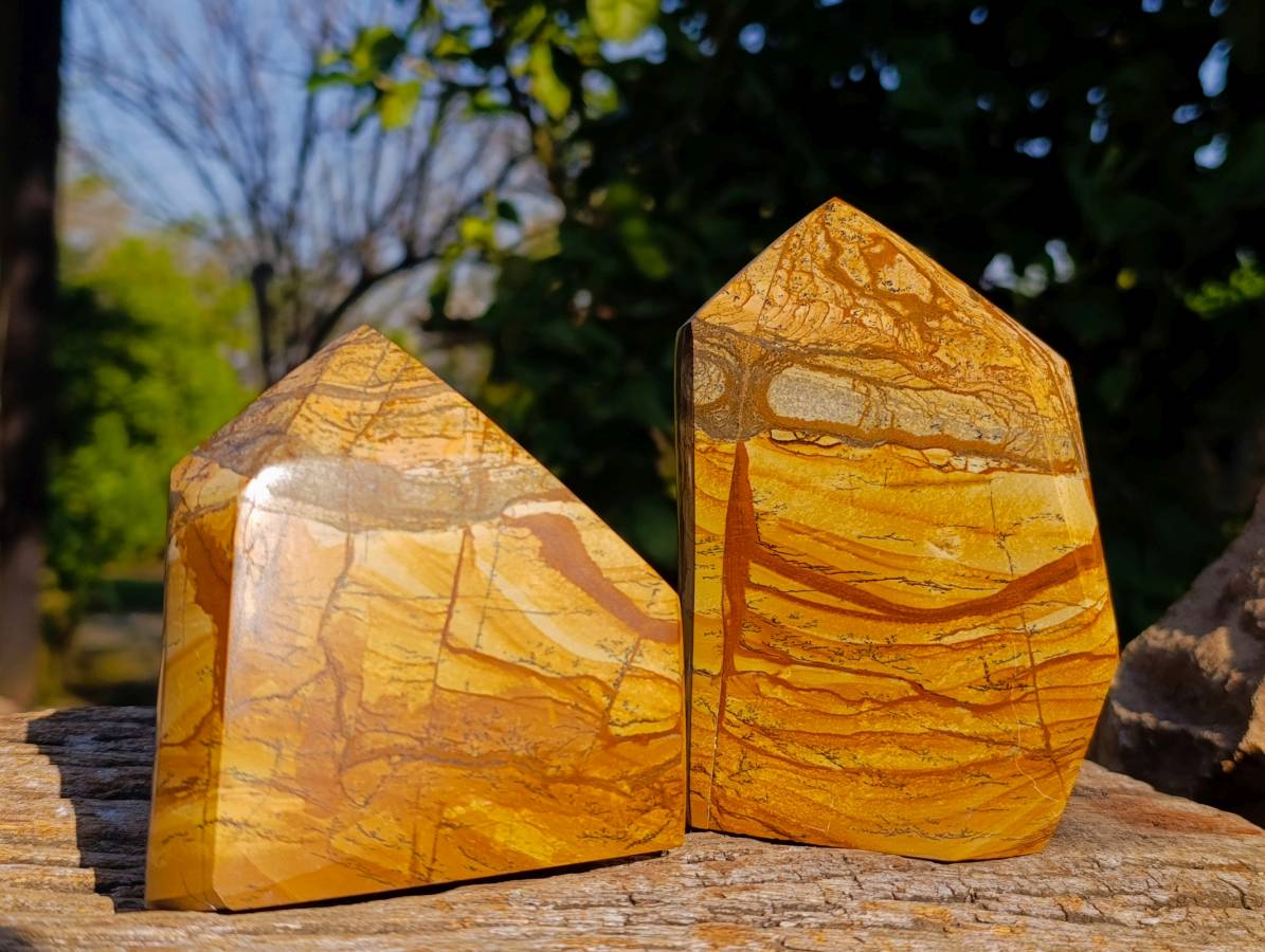 Polished Picture Stone Jasper Points x 2 From Ais-Ais, Namibia - Toprock Gemstones and Minerals 