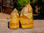 Polished Picture Stone Jasper Points x 2 From Ais-Ais, Namibia - Toprock Gemstones and Minerals 