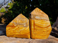Polished Picture Stone Jasper Points x 2 From Ais-Ais, Namibia - Toprock Gemstones and Minerals 