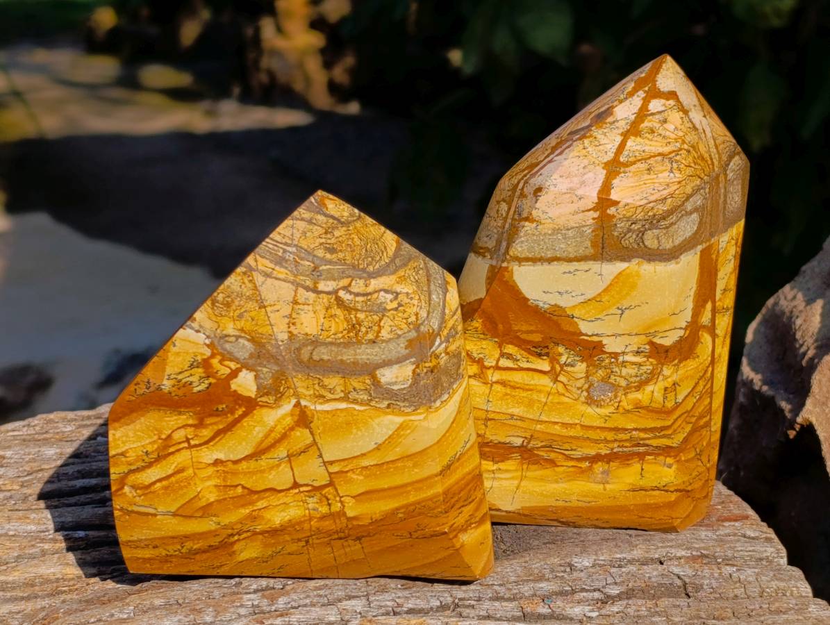 Polished Picture Stone Jasper Points x 2 From Ais-Ais, Namibia - Toprock Gemstones and Minerals 