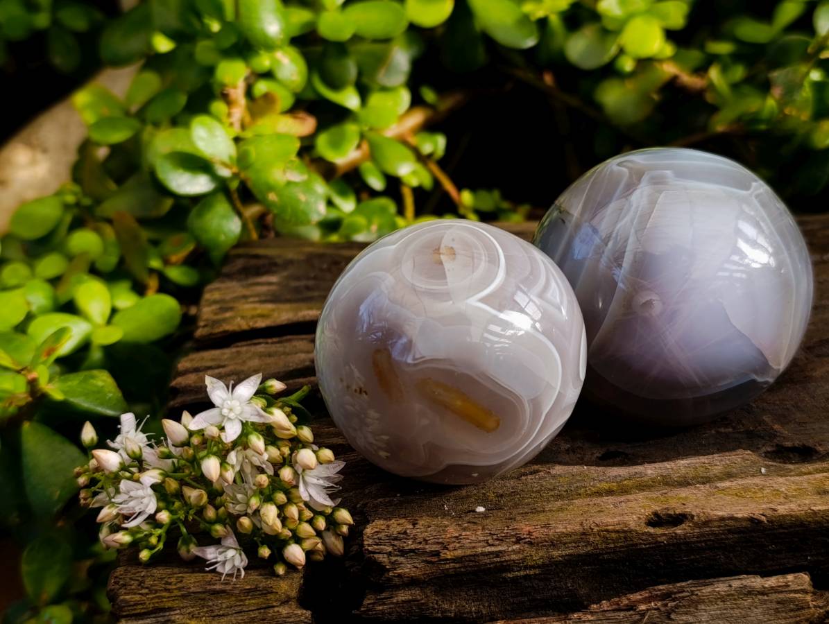 Polished Sashe River Agate Spheres x 3 From Zimbabwe - Toprock Gemstones and Minerals 