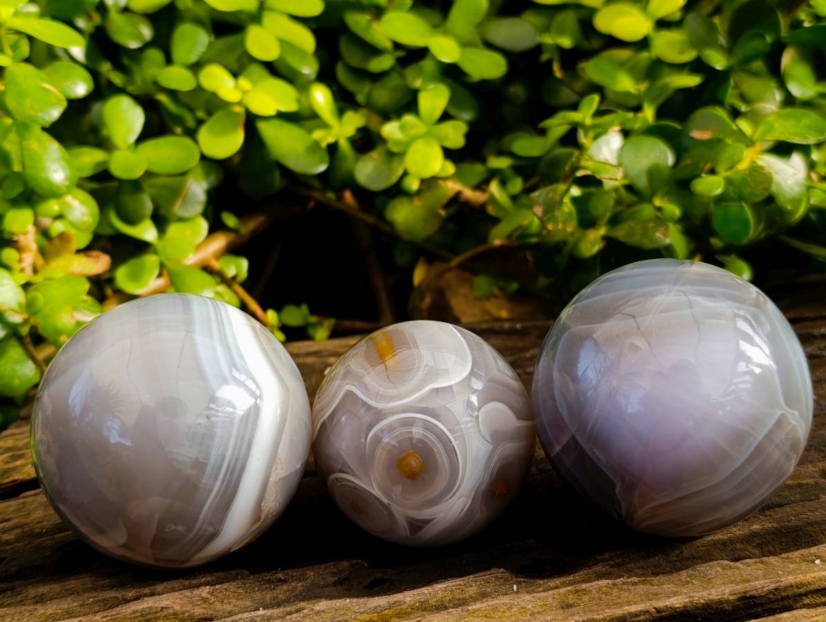 Polished Sashe River Agate Spheres x 3 From Zimbabwe - Toprock Gemstones and Minerals 