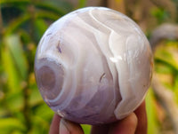Polished Sashe River Agate Spheres x 3 From Zimbabwe