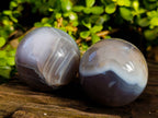 Polished Sashe River Agate Spheres x 3 From Zimbabwe - Toprock Gemstones and Minerals 