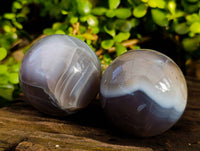 Polished Sashe River Agate Spheres x 3 From Zimbabwe