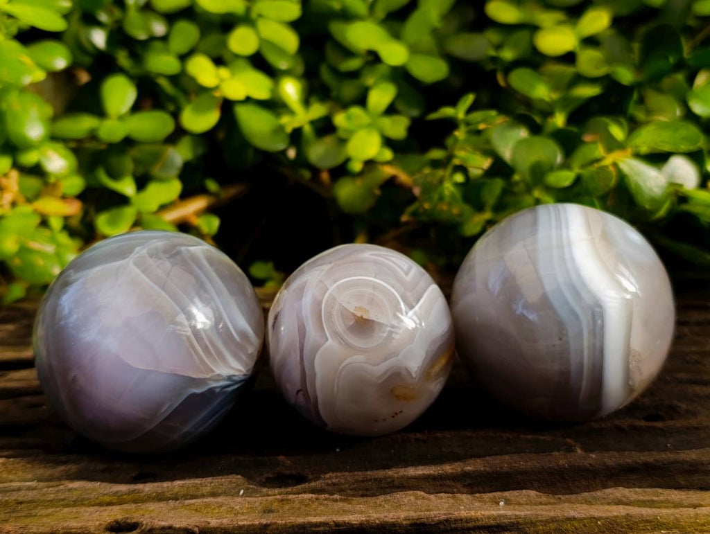 Polished Sashe River Agate Spheres x 3 From Zimbabwe - Toprock Gemstones and Minerals 