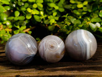 Polished Sashe River Agate Spheres x 3 From Zimbabwe