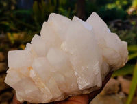Natural Pineapple Candle Quartz Cluster x 1 From Madagascar