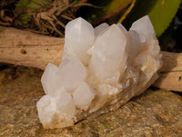 Natural Pineapple Candle Quartz Cluster x 1 From Madagascar