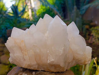 Natural Pineapple Candle Quartz Cluster x 1 From Madagascar