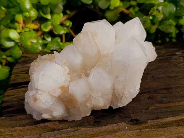Natural Pineapple Candle Quartz Cluster x 1 From Madagascar
