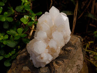 Natural Pineapple Candle Quartz Cluster x 1 From Madagascar