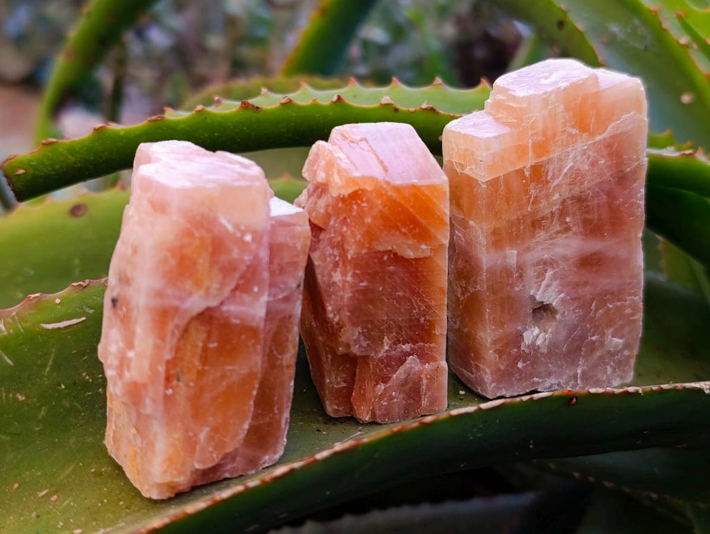 Natural Sunset Orange Calcite Specimens x 40 From Spitzkop, Namibia - Toprock Gemstones and Minerals 