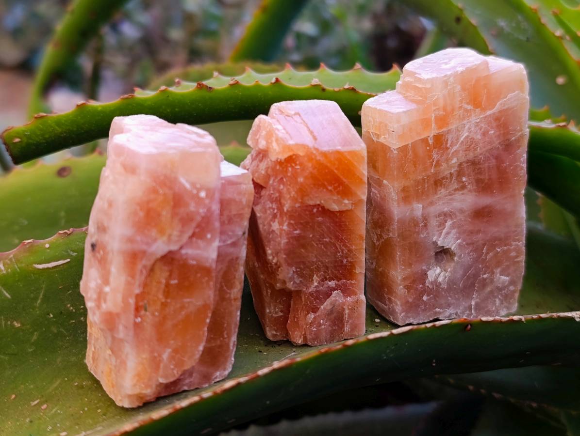 Natural Sunset Orange Calcite Specimens x 40 From Spitzkop, Namibia - Toprock Gemstones and Minerals 