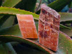 Natural Sunset Orange Calcite Specimens x 40 From Spitzkop, Namibia - Toprock Gemstones and Minerals 