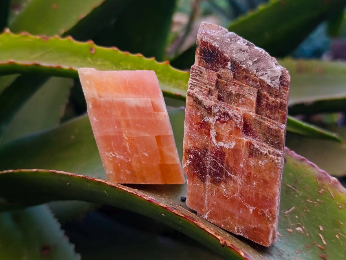 Natural Sunset Orange Calcite Specimens x 40 From Spitzkop, Namibia - Toprock Gemstones and Minerals 