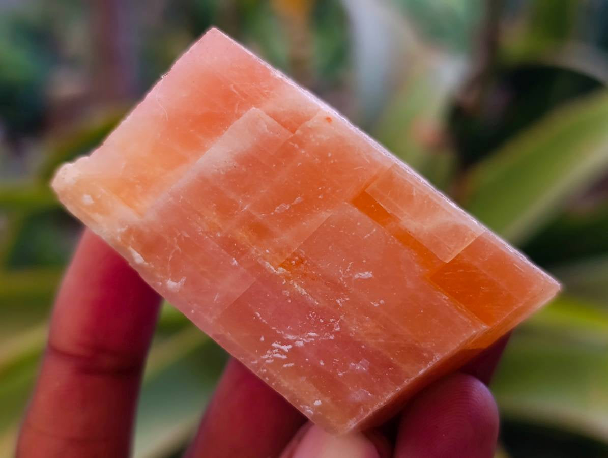 Natural Sunset Orange Calcite Specimens x 40 From Spitzkop, Namibia - Toprock Gemstones and Minerals 