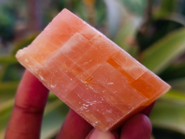 Natural Sunset Orange Calcite Specimens x 40 From Spitzkop, Namibia