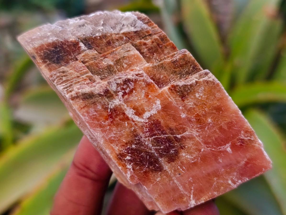 Natural Sunset Orange Calcite Specimens x 40 From Spitzkop, Namibia - Toprock Gemstones and Minerals 
