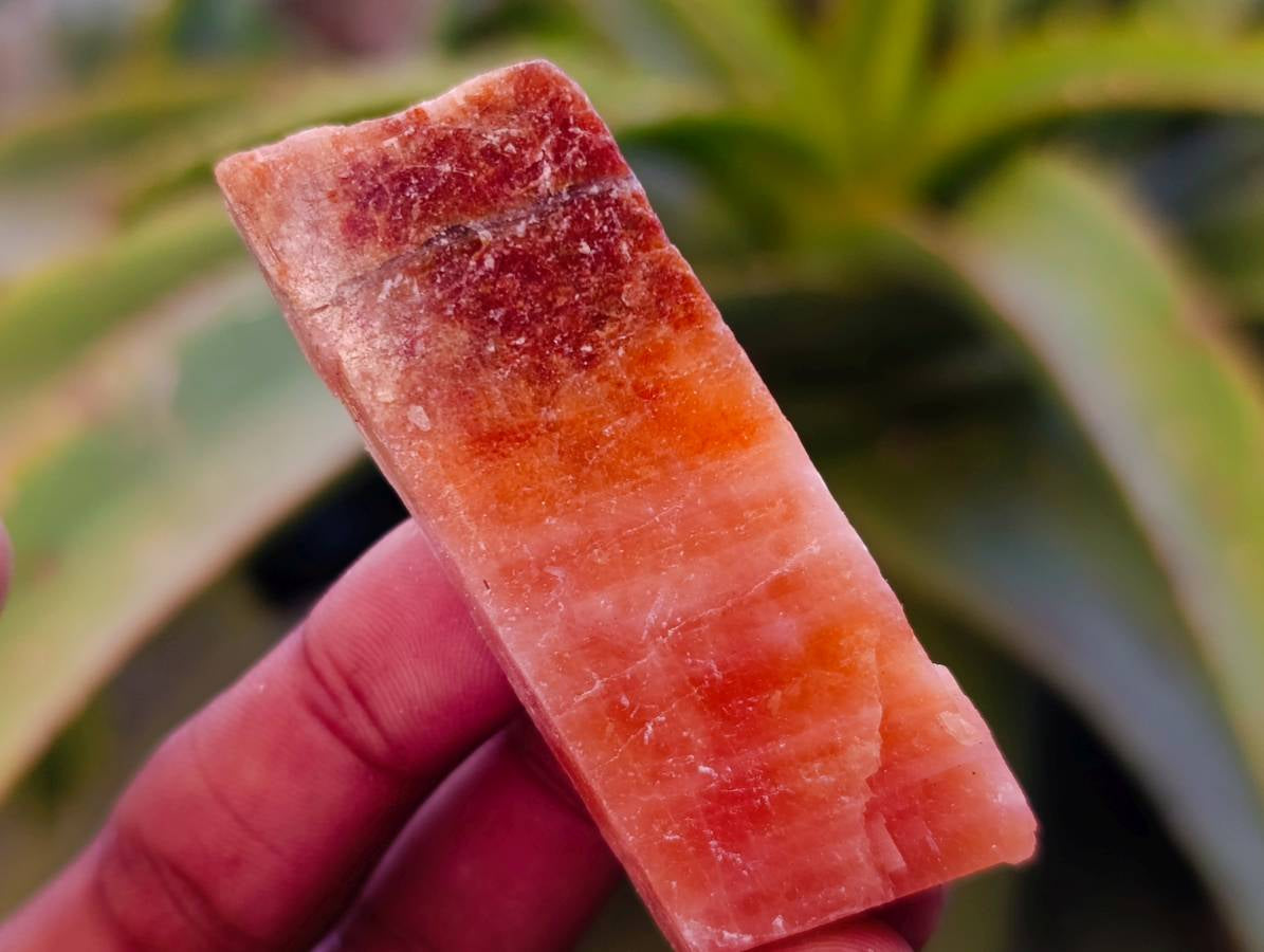 Natural Sunset Orange Calcite Specimens x 40 From Spitzkop, Namibia - Toprock Gemstones and Minerals 